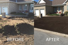before-after-lawn-repair